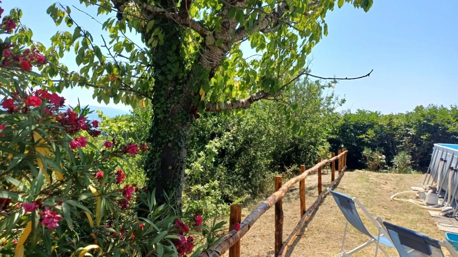 Casa Flora Villa Monteverdi Marittimo Holiday home
